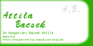 attila bacsek business card
